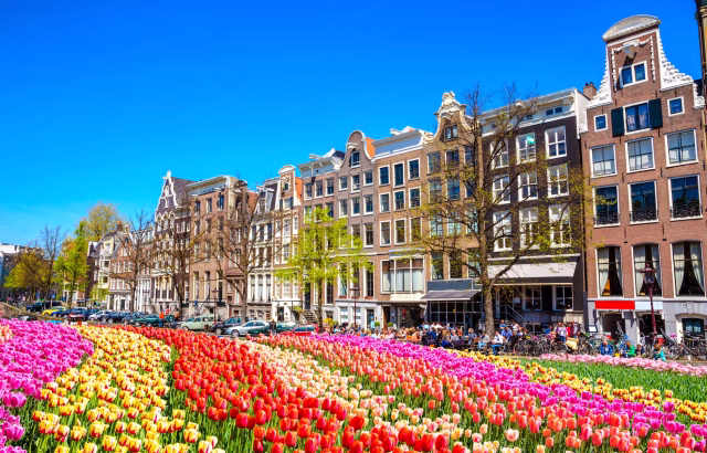 Amsterdam ans tulips