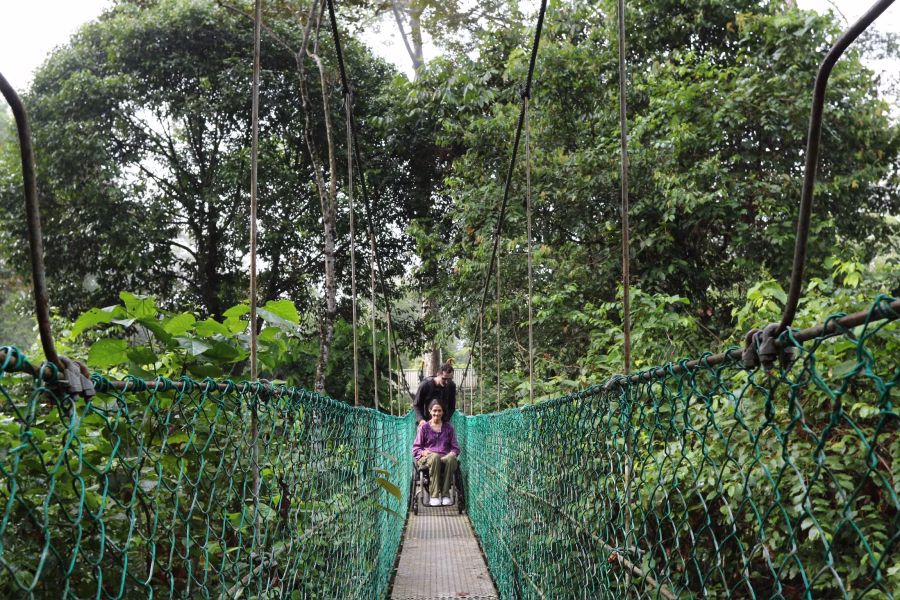 Jan exploring the rainforest canopy with her husband.