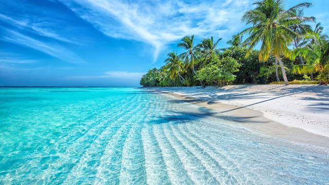 Image of a tropical beach