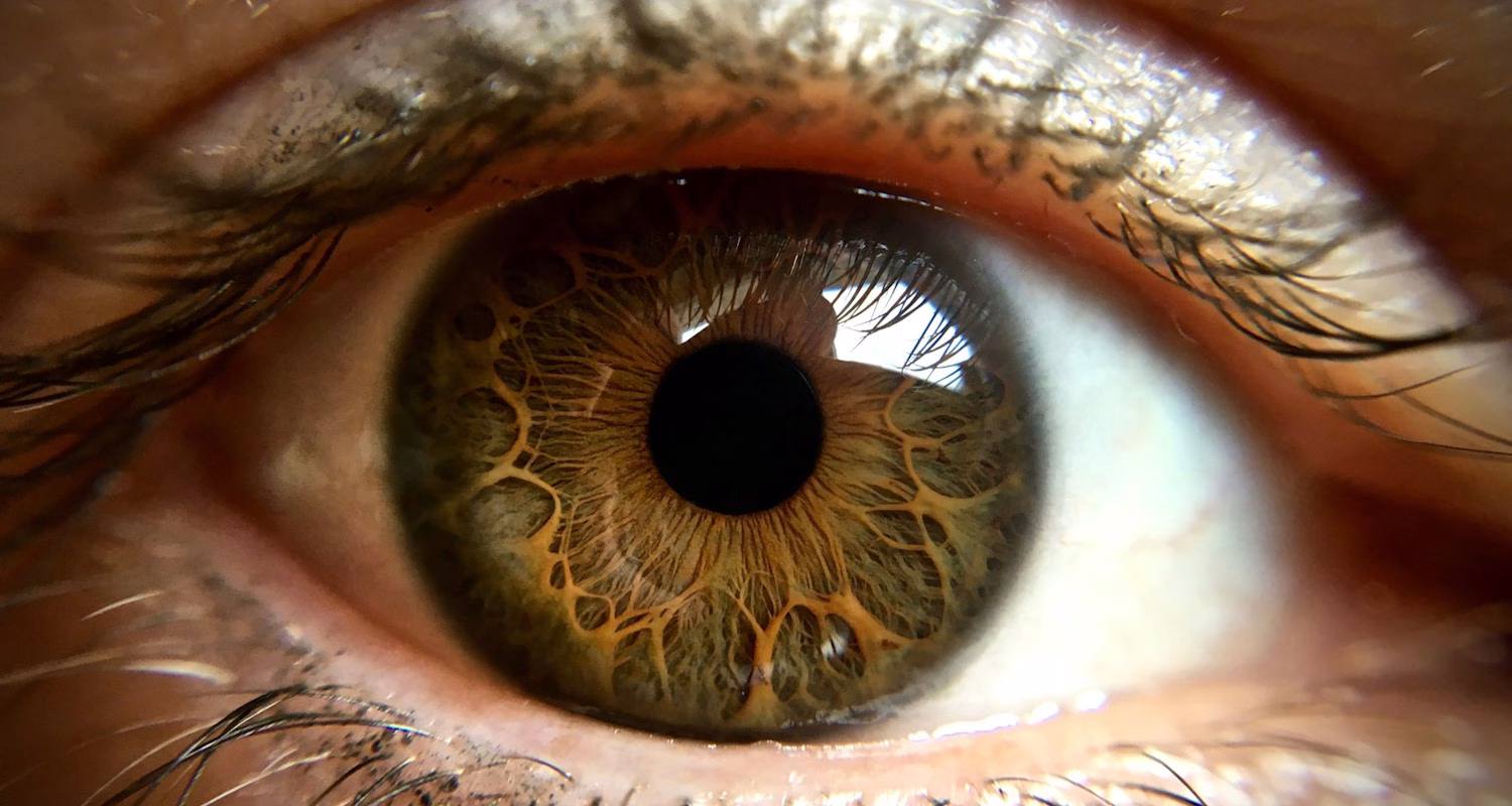 celebrating the blind and visually impaired community and the inclusive experiences that make exploring the world richer, safer, and more imaginative.