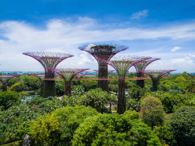Image of Gardens by the Bay in Singapore