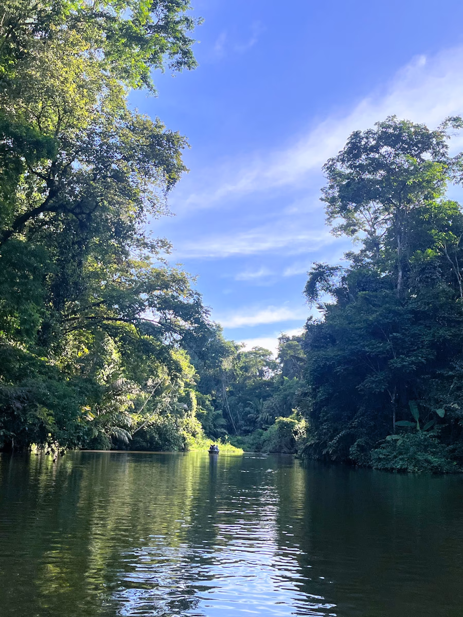 Image of the Tortuguero river, Costa Rica