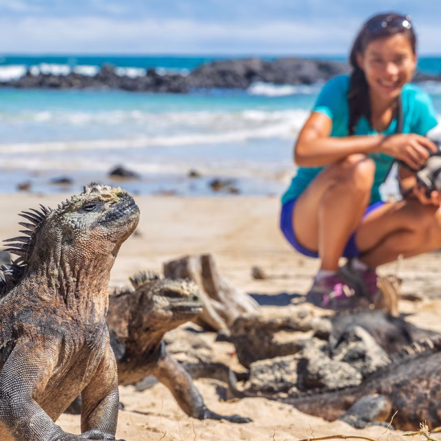 Image shows a woman crouching down on a beach in the Galápagos Islands while watching an Iguana.